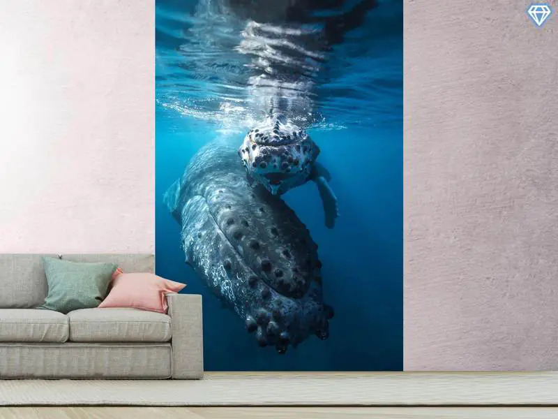 Wall Mural Photo Wallpaper Humpback Whale And Calf