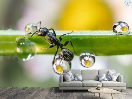 Wall Mural Photo Wallpaper The Ant Between The Drops