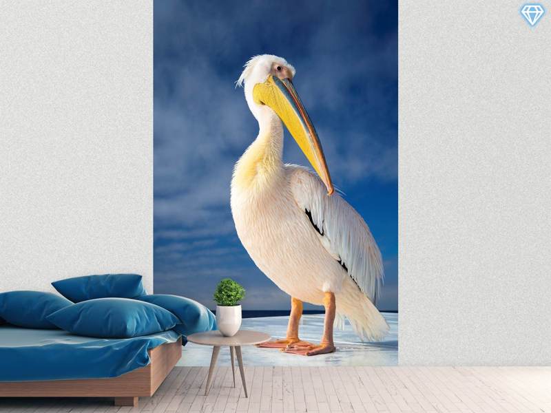 Papier peint photo Shy Pelican