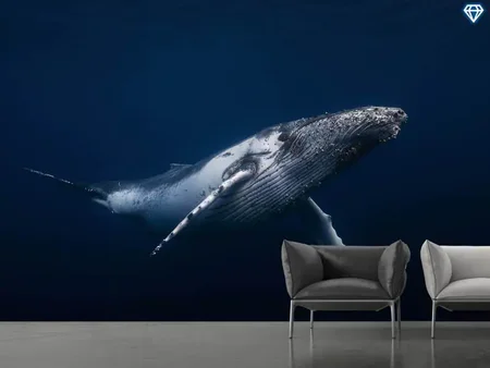 Fotobehang Humpback Whale In Blue