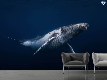 Wall Mural Photo Wallpaper Humpback Whale In Blue