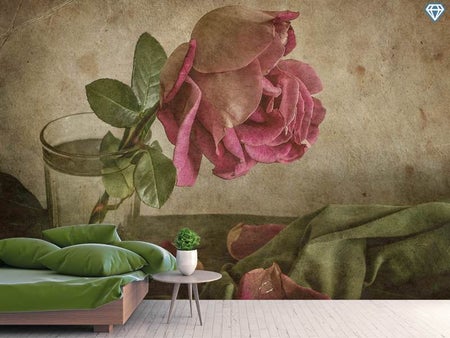 Wall Mural Photo Wallpaper Tear Of Rose