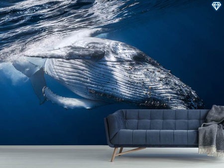 Fotobehang The Whale