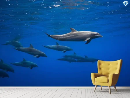 Wall Mural Photo Wallpaper Dolphins