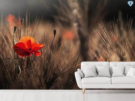 Wall Mural Photo Wallpaper Poppy With Corn