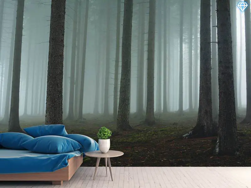 Wall Mural Photo Wallpaper Foggy Forest | Order now!!