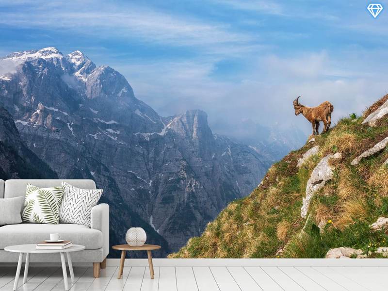 Valokuvatapetti Alpine Ibex In The Mountains