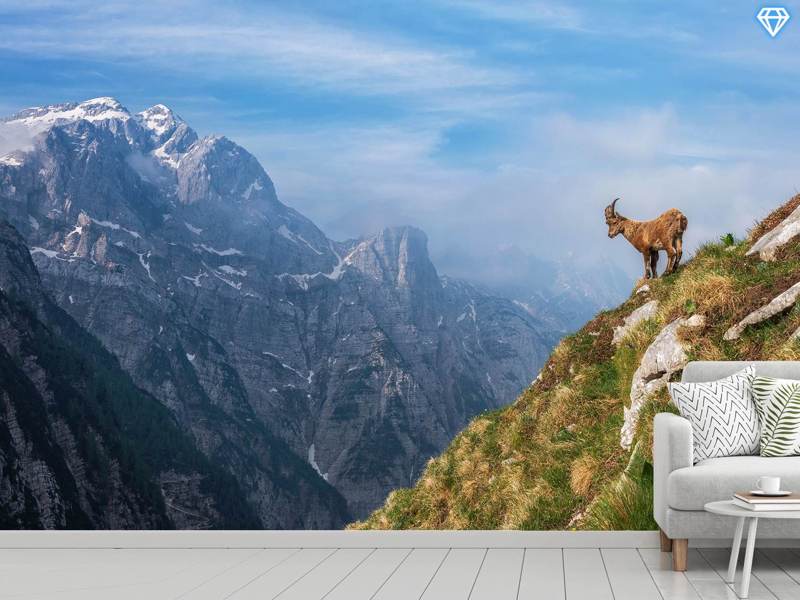 Valokuvatapetti Alpine Ibex In The Mountains