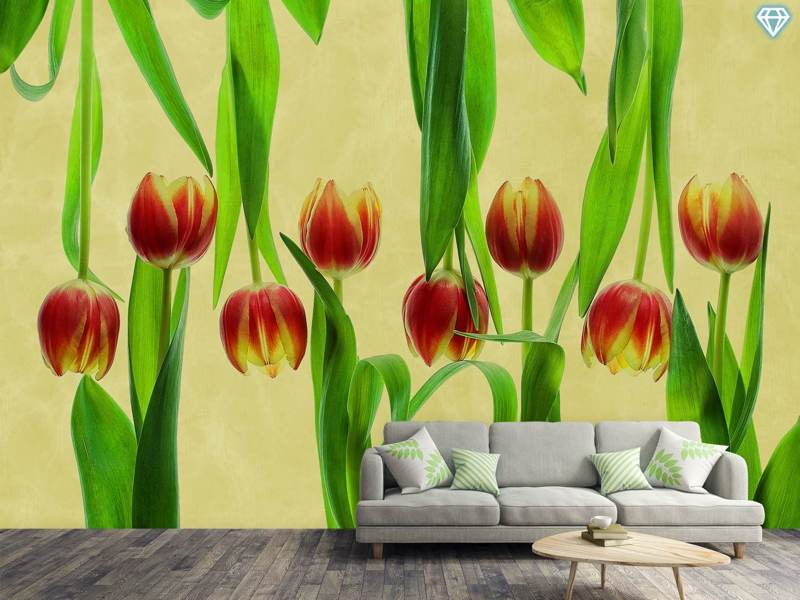 Fotobehang Tulips