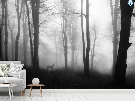 Wall Mural Photo Wallpaper Forest