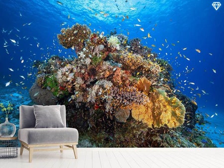 Fototapet Underwater Biodiversity