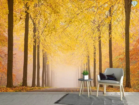 Papier peint photo Autumn Road