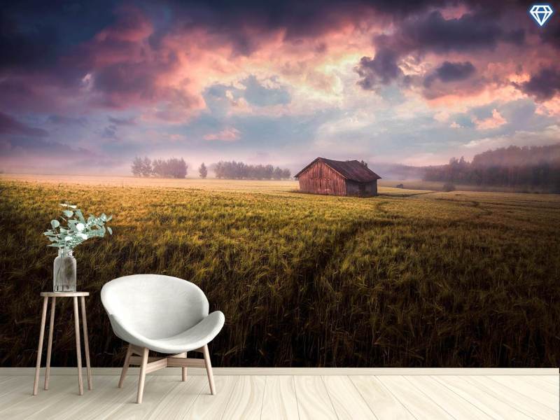 Wall Mural Photo Wallpaper The Sun It Fades In The Moonlight The Stars They Fade In The Daylight