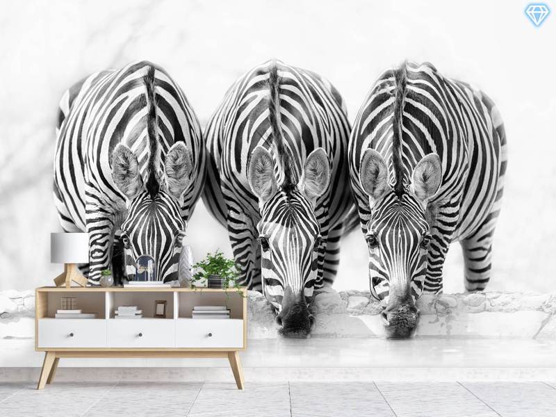 Fototapet Zebras