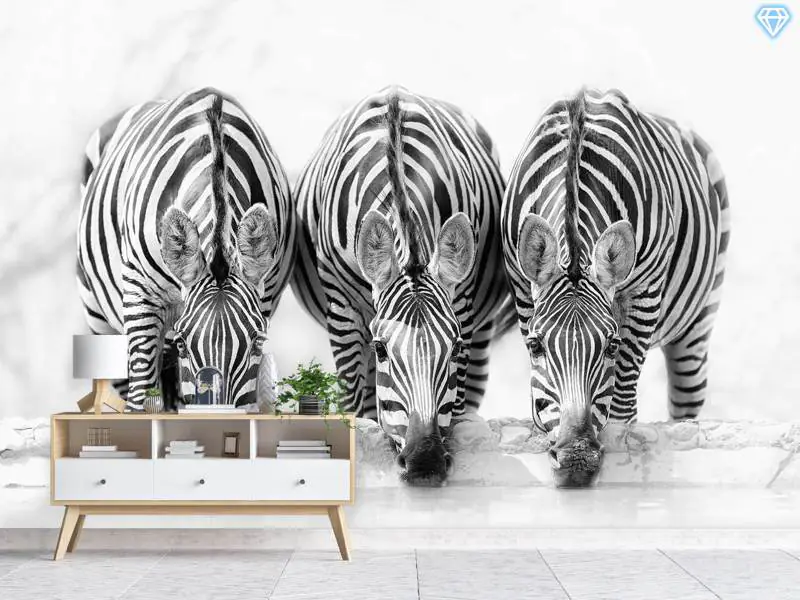 Wall Mural Photo Wallpaper Zebras