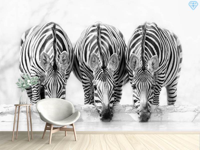 Wall Mural Photo Wallpaper Zebras