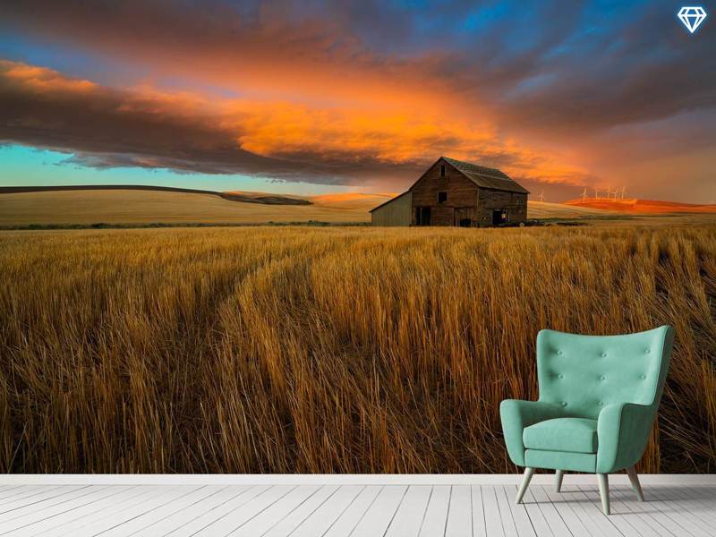 Wall Mural Photo Wallpaper Storm Over Palouse