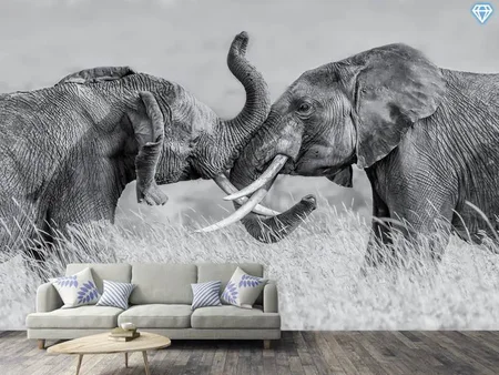 Papier peint photo Elephant Qtai Chiq