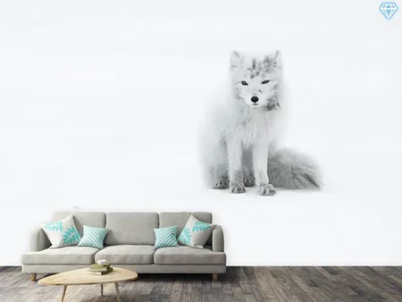 Papier peint photo Arctic Fox