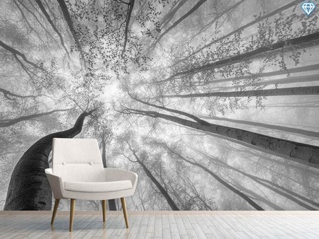 Wall Mural Photo Wallpaper Spring Crown Of Trees