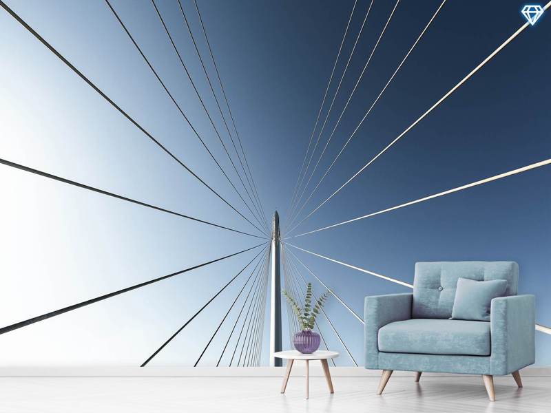 Wall Mural Photo Wallpaper Calatrava Bridge