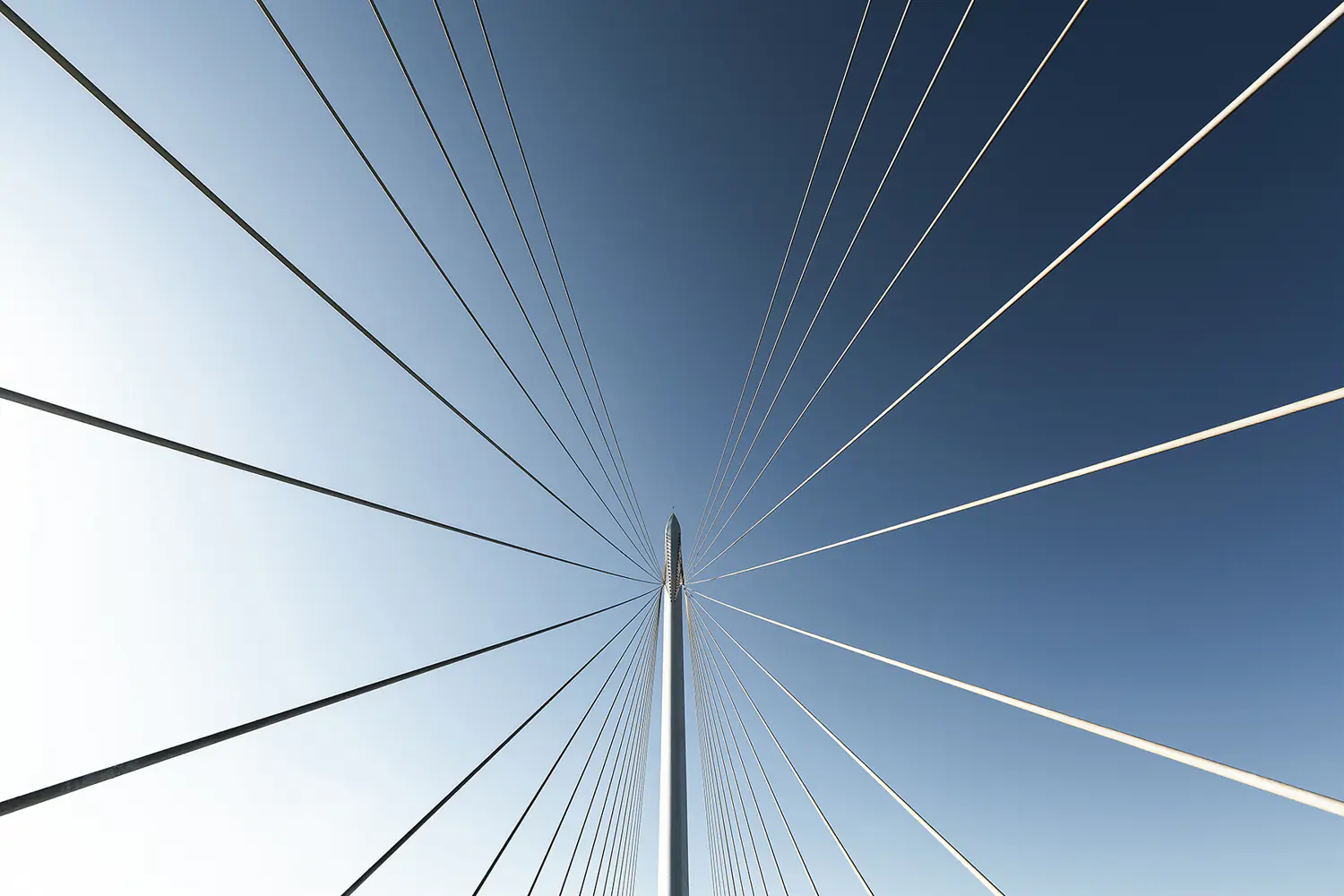 Valokuvatapetti Calatrava Bridge