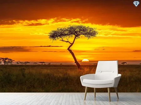 Wall Mural Photo Wallpaper Primordial Africa