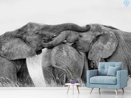 Fotobehang Elephant Playing