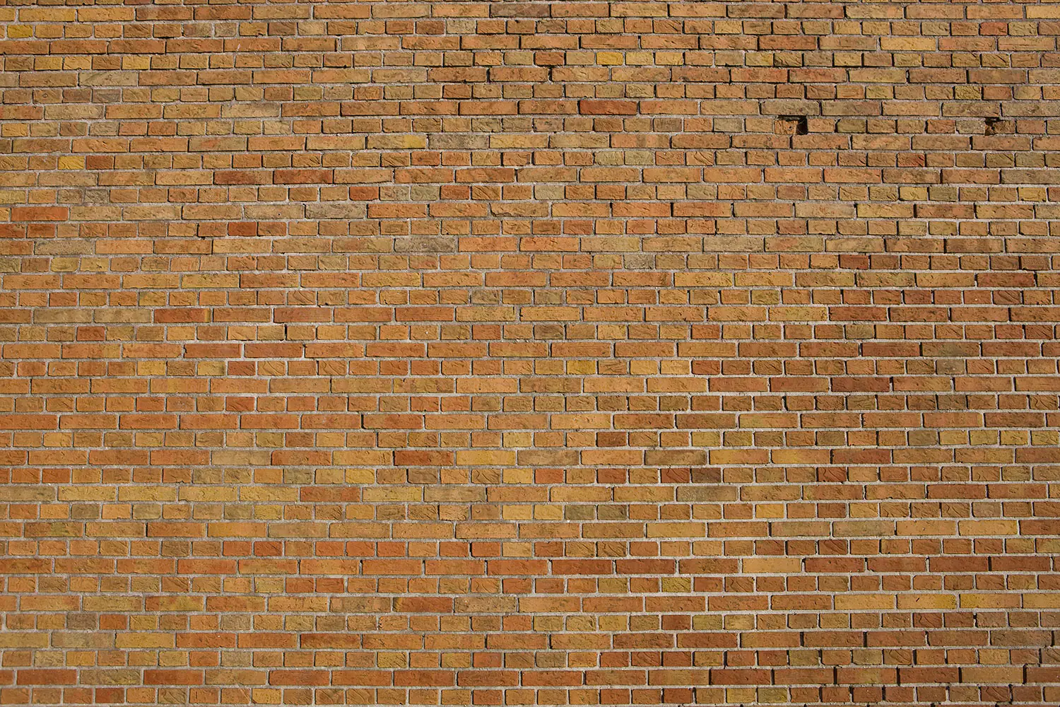 Fototapet Brick Background