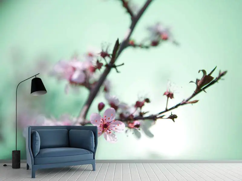 Wall Mural Photo Wallpaper Beautiful Japanese Cherry Blossom
