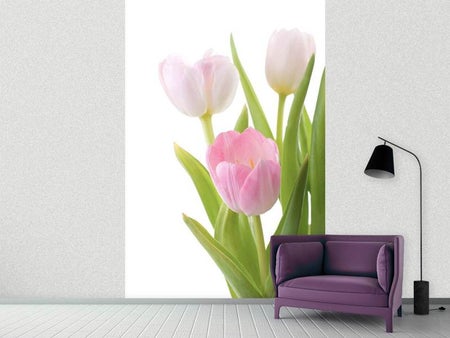 Papier peint photo Le trio de tulipes