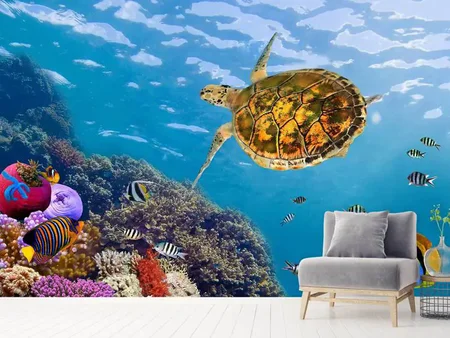 Wall Mural Photo Wallpaper The Turtle