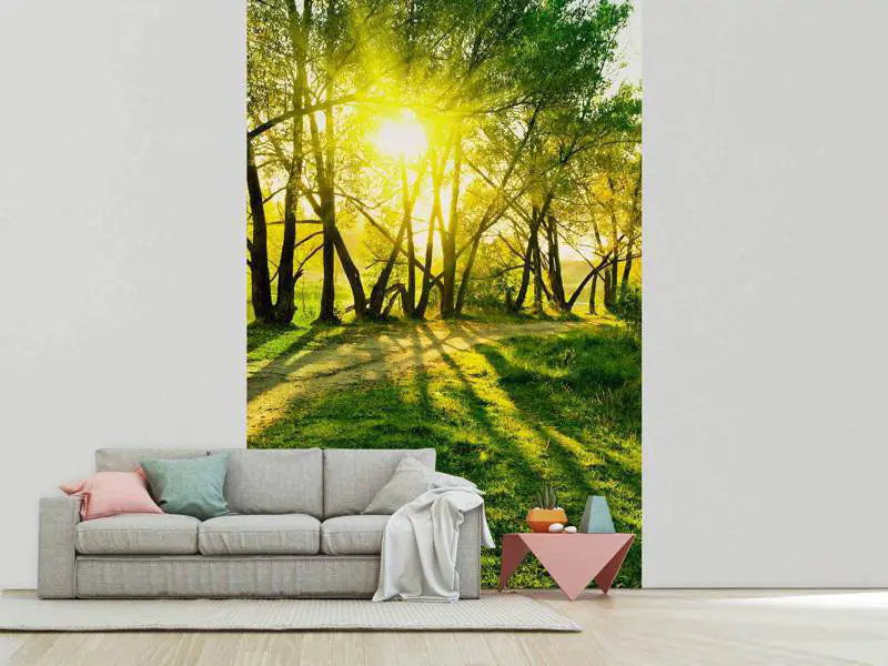Wall Mural Photo Wallpaper Forest Path In Sunlight