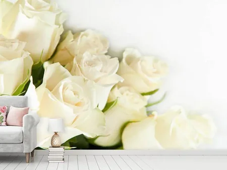 Papier peint photo Roses blanches