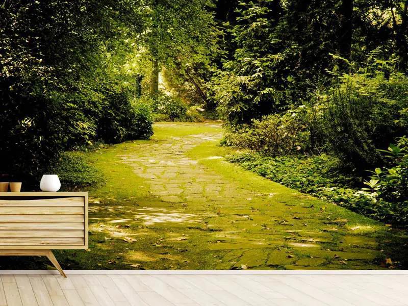 Wall Mural Photo Wallpaper Moss-Covered Path