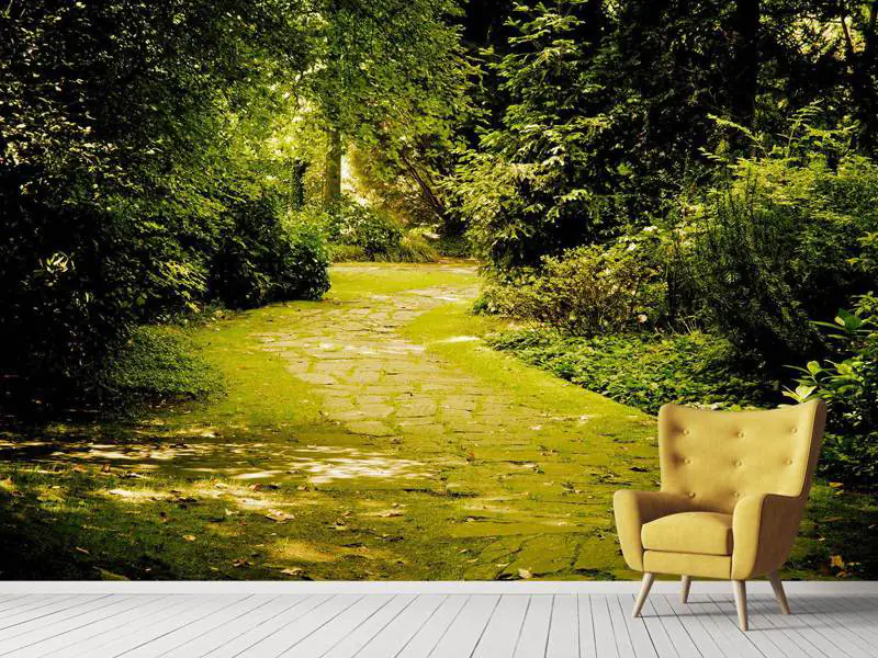 Wall Mural Photo Wallpaper Moss-Covered Path