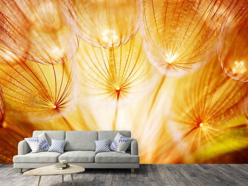 Wall Mural Photo Wallpaper Close Up Dandelion In Light