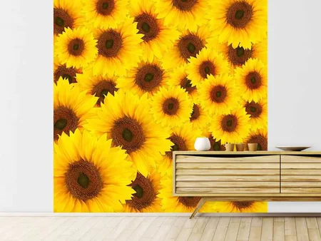 Wall Mural Photo Wallpaper A Bouquet Sunflower