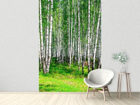 Wall Mural Photo Wallpaper The Birch Forest In Summer