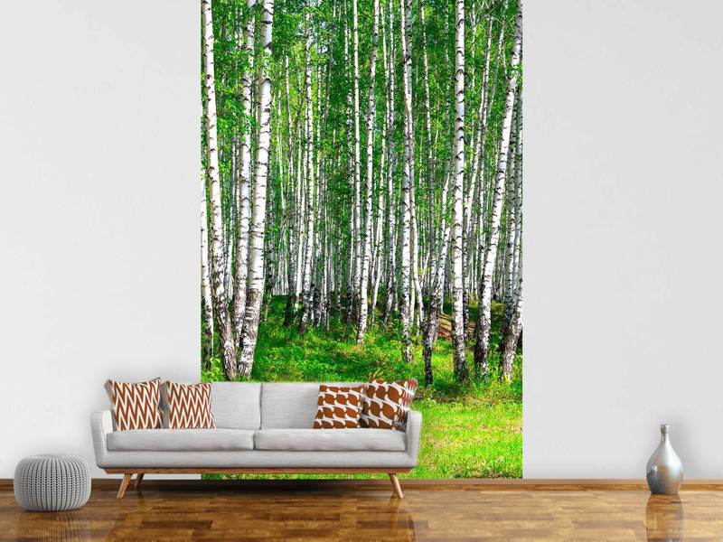 Wall Mural Photo Wallpaper The Birch Forest In Summer