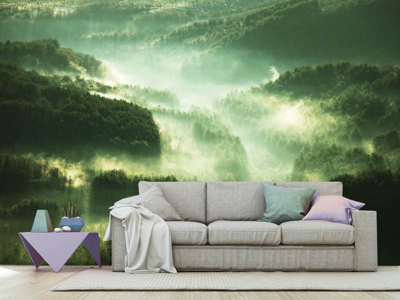 Wall Mural Photo Wallpaper Over The Woods