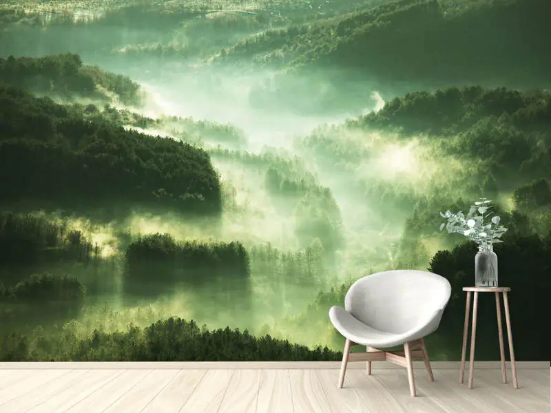 Wall Mural Photo Wallpaper Over The Woods