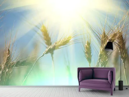 Wall Mural Photo Wallpaper King Of Cereals