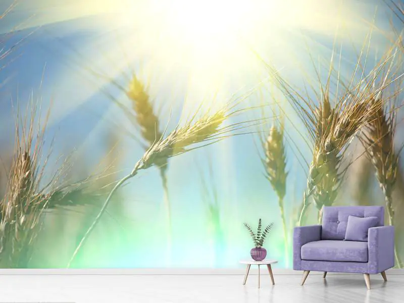 Wall Mural Photo Wallpaper King Of Cereals