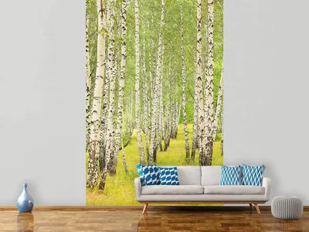 Fotobehang The Birch Forest In Late Summer