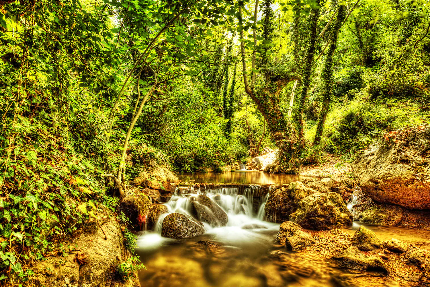 Valokuvatapetti Waterfall In The Forest