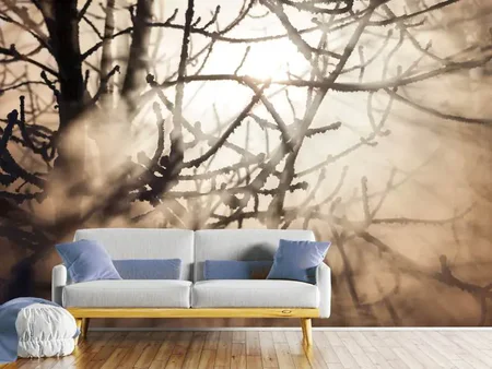 Wall Mural Photo Wallpaper Branches In Fog Light