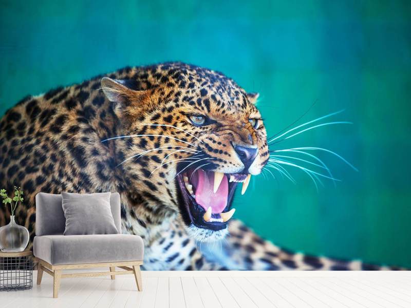 Wall Mural Photo Wallpaper Attention Leopard
