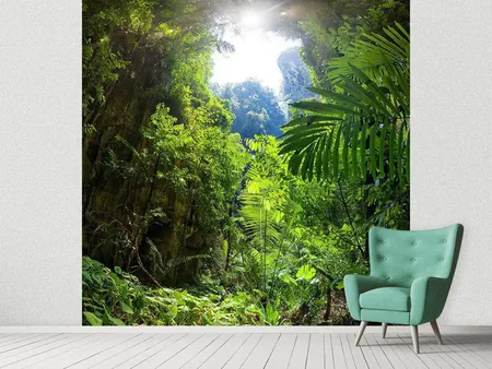 Wall Mural Photo Wallpaper Clearing In The Jungle