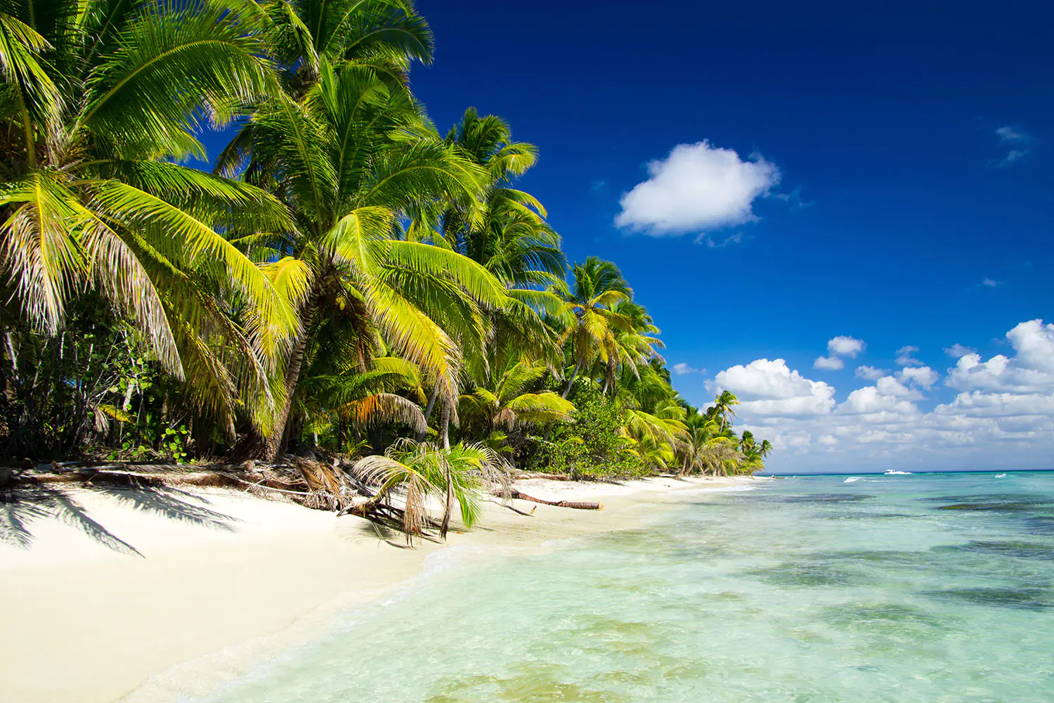 Wall Mural Photo Wallpaper The Deserted Island